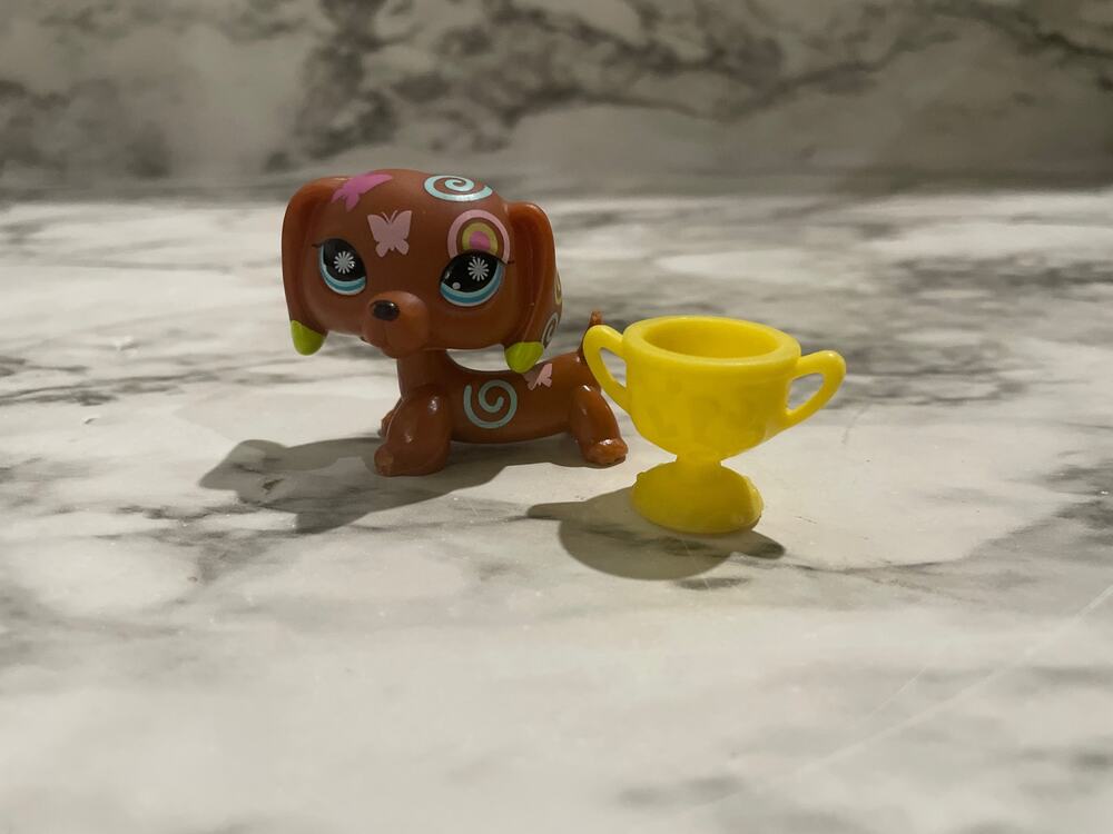 Littlest pet shop brown postcard dachshund